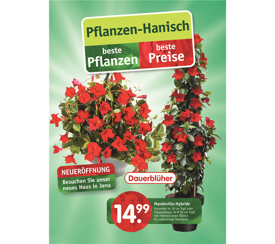 Pflanzen Richter Prospekt