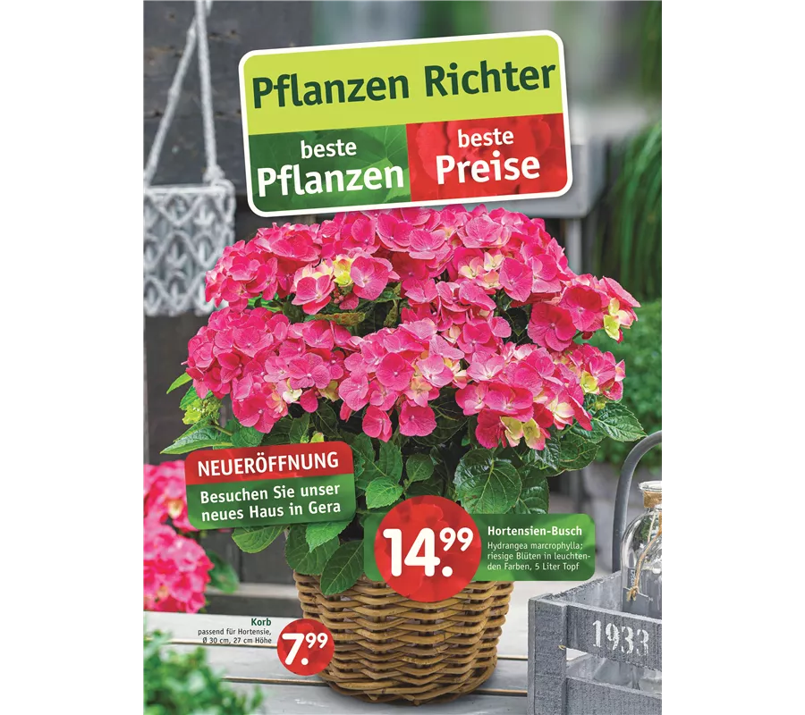 Beilagen Pflanzen Richter Einkaufs GmbH