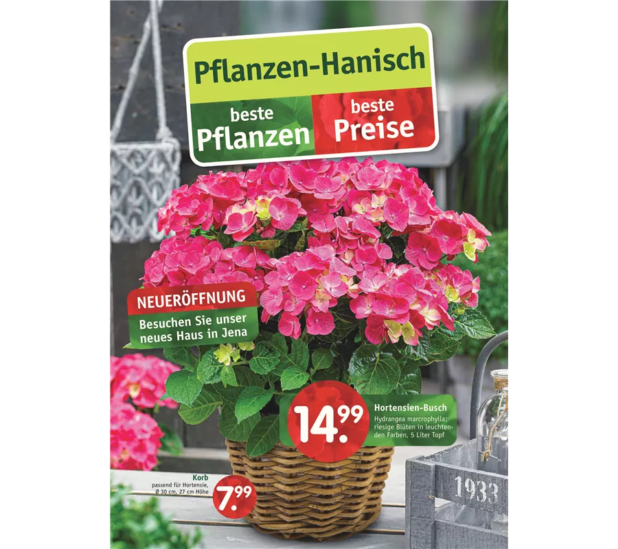 Beilagen Pflanzen Richter Einkaufs GmbH