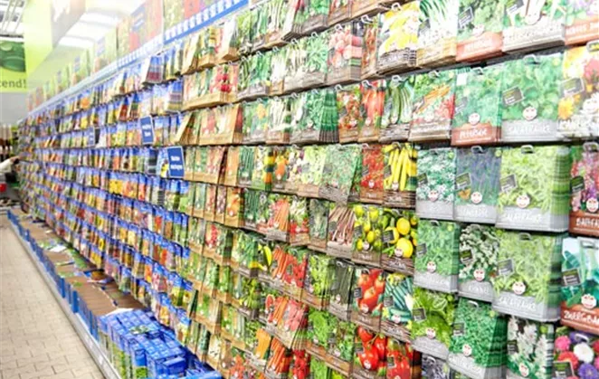 Pflanzen Richter Kg Lange Wand Bünde Sortiment - Pflanzen Richter Einkaufs GmbH