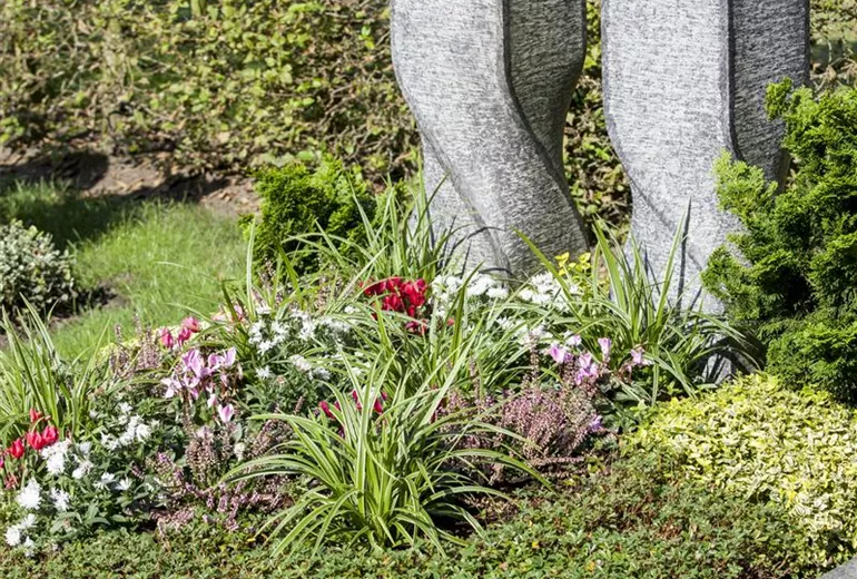 Grabbepflanzung Grabbepflanzung