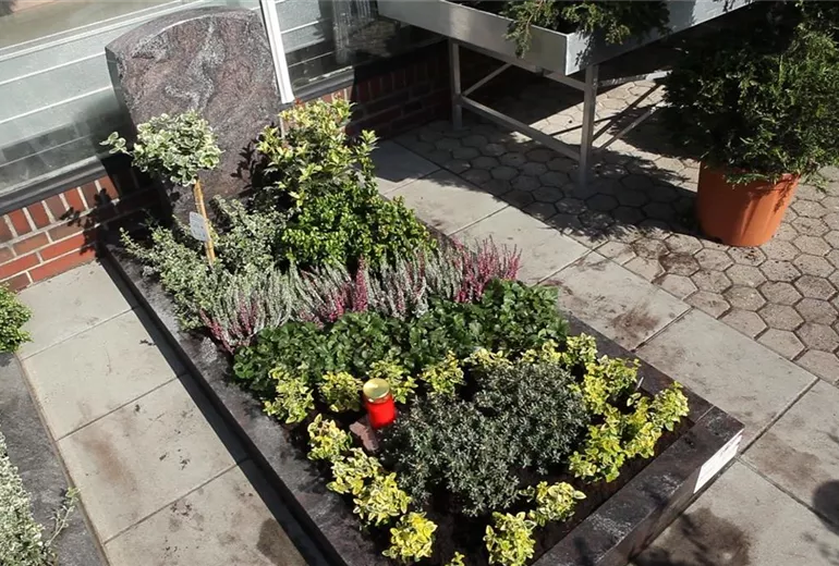 Grabbepflanzung - Dauerhaft (thumbnail) Grabbepflanzung - Dauerhaft (thumbnail)