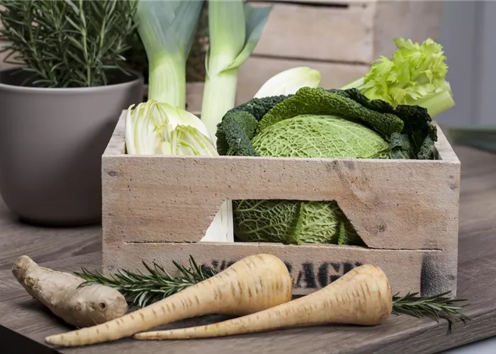 Das große Comeback der alten Gemüse-Sorten!