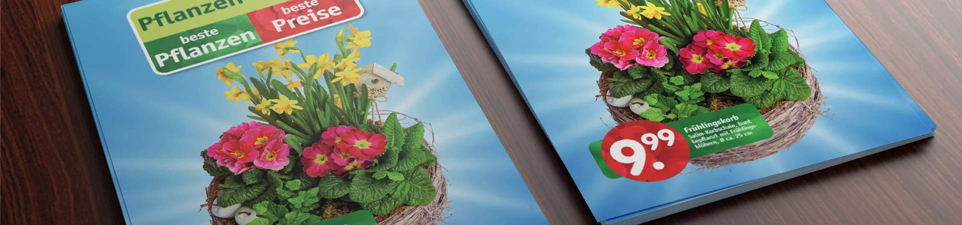 GS_Pflanzen-Richter_Beilagen