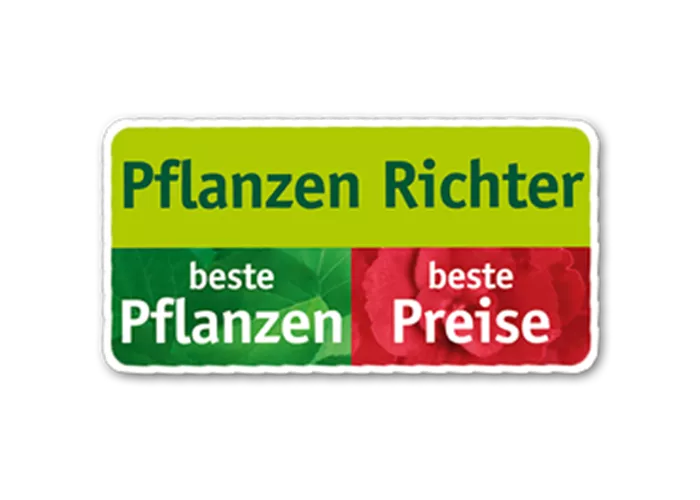 Kassenkraft in Delitzsch und Gera