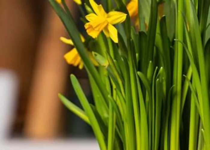 Online Gutschein Online Gutschein