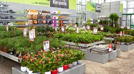 sortiment-zimmerpflanzen.jpg