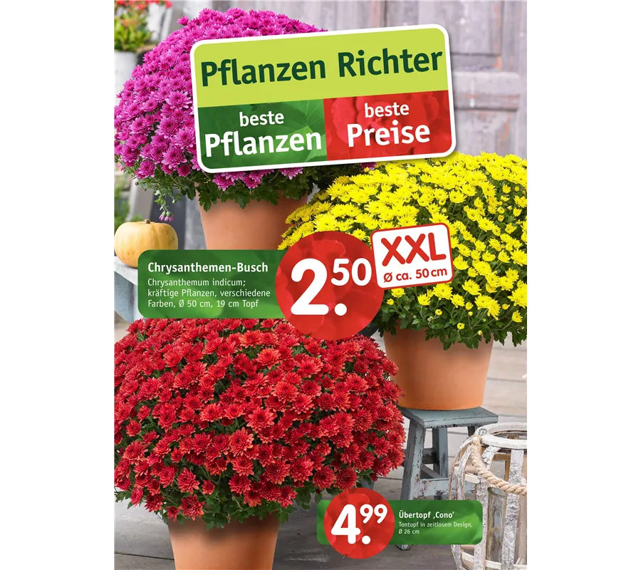 Beilage Bünde