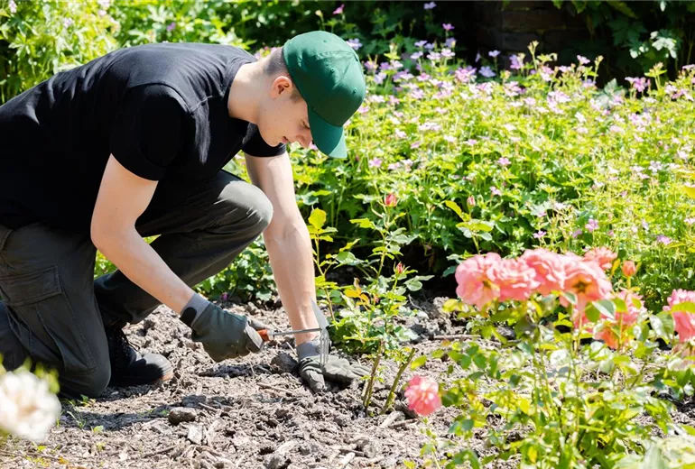Mann bei der Gartenarbeit Mann bei der Gartenarbeit