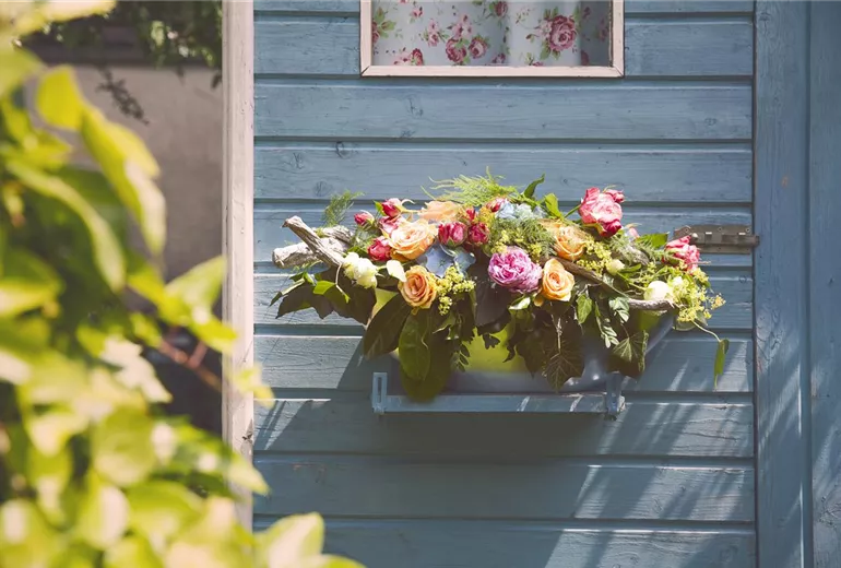 Rosa, rosa Rosa, rosa