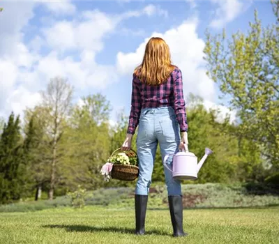 Alles auf Anfang – ein Blumenbeet anlegen Alles auf Anfang – ein Blumenbeet anlegen