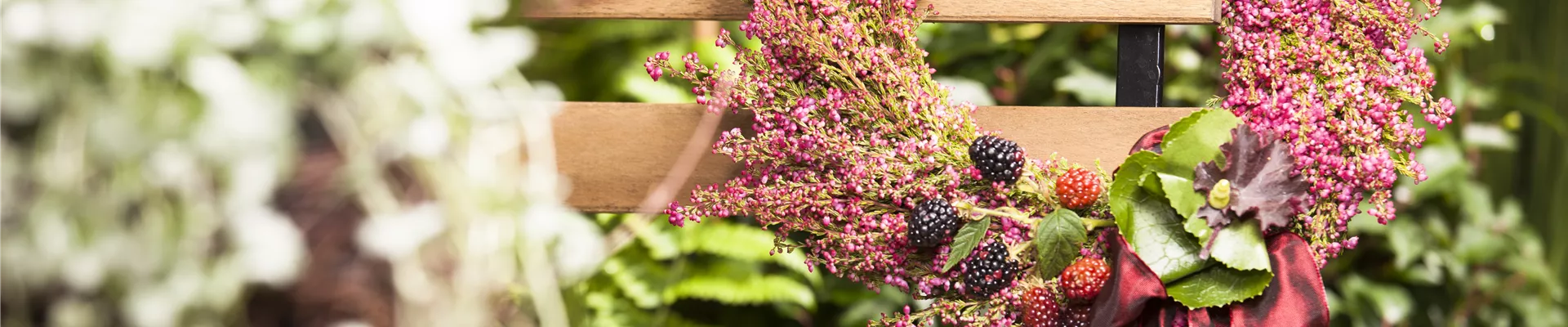 Calluna vulgaris Calluna vulgaris