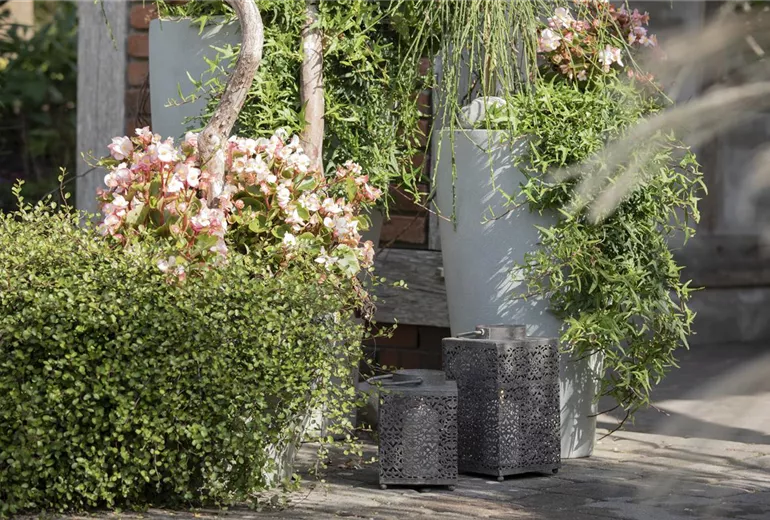 Laternen im Garten Laternen im Garten