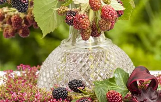 Vasen – mehr als schlichte Wasserspeicher Vasen – mehr als schlichte Wasserspeicher