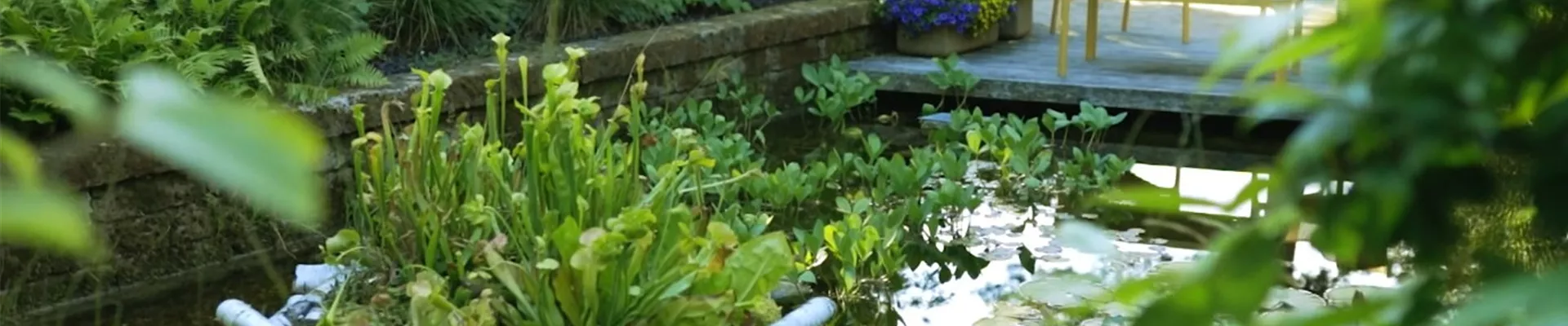 Gartengestaltung- Waldgarten (Thumbnail)