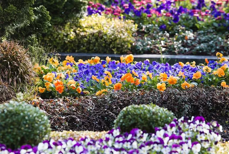 Grabbepflanzung Grabbepflanzung