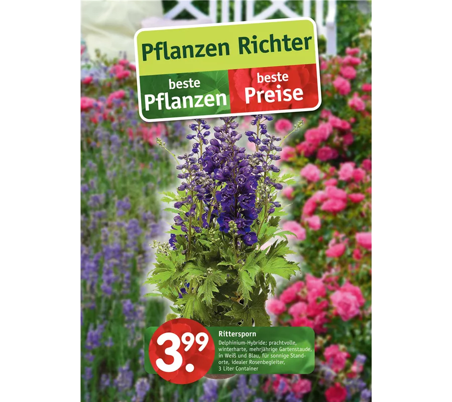 Beilage Bünde